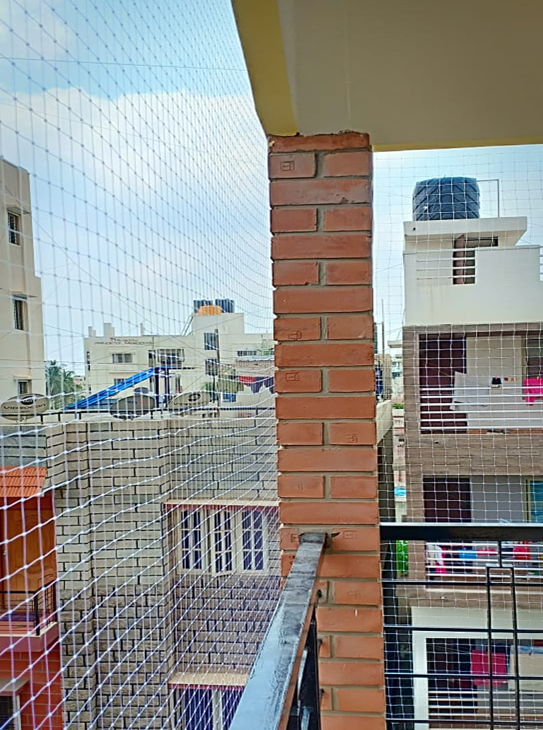 Anti Bird Nets In bangalore